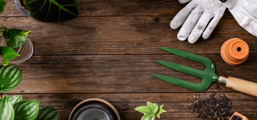 Ferretería y droguería