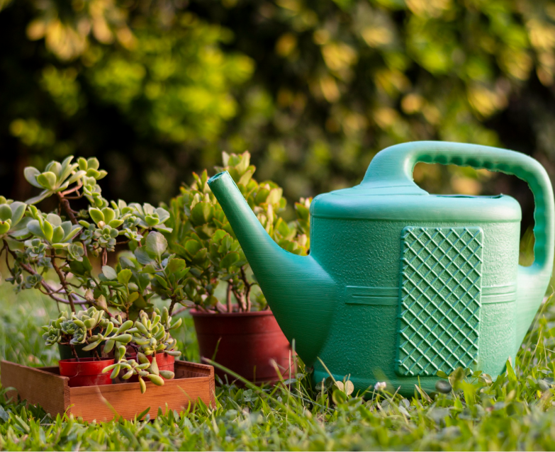 Piensos y cereales formulados_