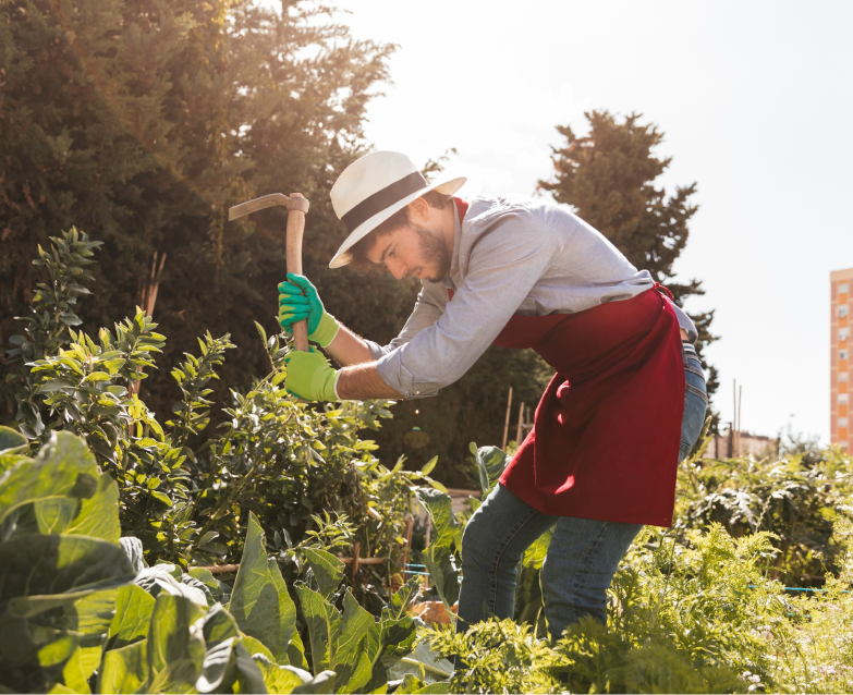 Semillas y productos de jardinería