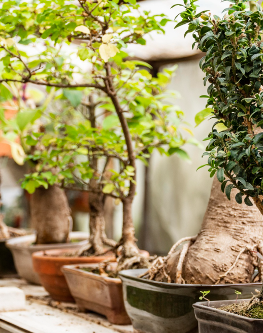 Trabajos y soluciones reales