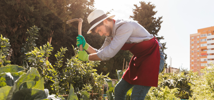Zoosanitarios, fertilizantes y control de plagas
